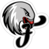 nuernberg-falcons.de icon