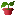 nukelet.com icon