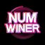 numwinershow.com icon