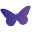 nunazorg.nl icon
