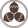 nutlock.ru icon