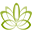 nwopelvicrehab.com icon