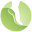 nwpodiatric.com icon