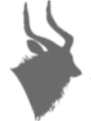 nyalasafarilodge.co.za icon