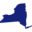 nydems.org icon