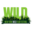 nywildfilmfestival.com icon