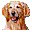 oaklines.com icon