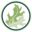 oakorchardhealth.org icon