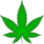 oaseeds.com icon