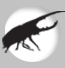 objetdecuriosite.com icon