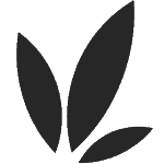 obtenezvotrecredit.fr icon
