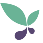 ocadsv.org icon