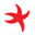 ocean-institute.org icon