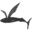 oceancruisingclub.org icon