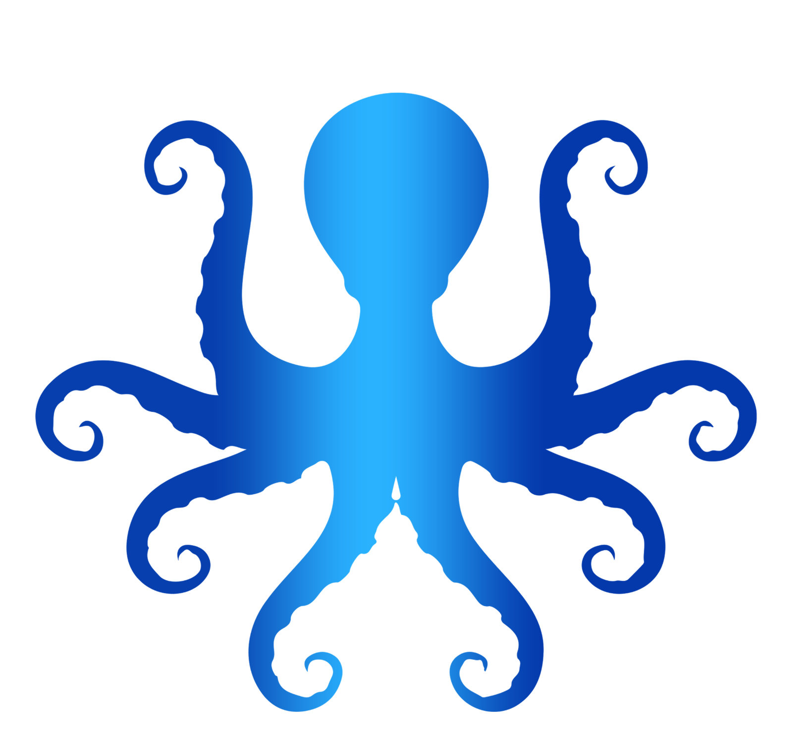 octopus.com.az logo
