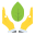 odesa.name icon