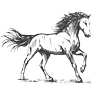 Odessa logo