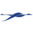 oilskim.com icon