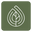 oleya.ro icon