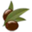 olivenation.com icon