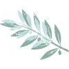 oliveoilsource.com logo