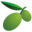 olivetomato.com icon