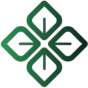 olylife.com icon