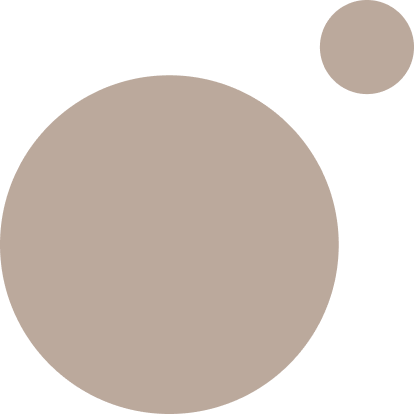 omvivo.com icon