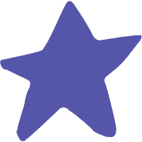 onestarrynight.com icon