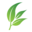 onlinetherapy.com icon