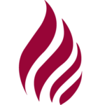onlinezucai.com icon