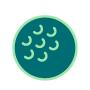 OnPar Now logo