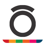onsv.org.br icon