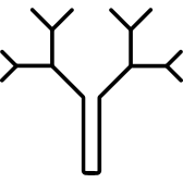 openingtree.com icon