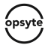 opsyte.com icon