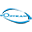 optikam.com logo
