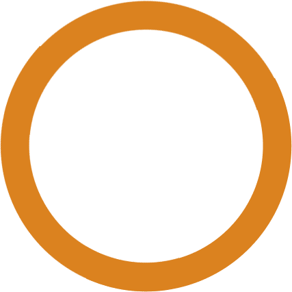 optiscan.com icon