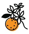 orangeblossommidwifery.com icon