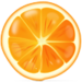 orangeinternetsolutions.com icon