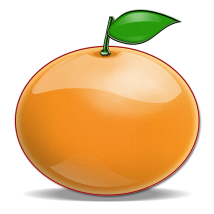 orangeroomsoftware.com icon
