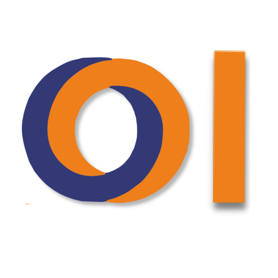 orbitinfotech.com icon