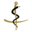ordomedic.be icon