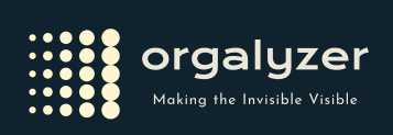 orgalyzer.com icon