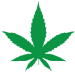 organicremediespa.com icon