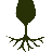 organicwinessouthafrica.co.za icon