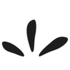 originele-bachbloesems.com icon