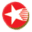 Orion Solar logo