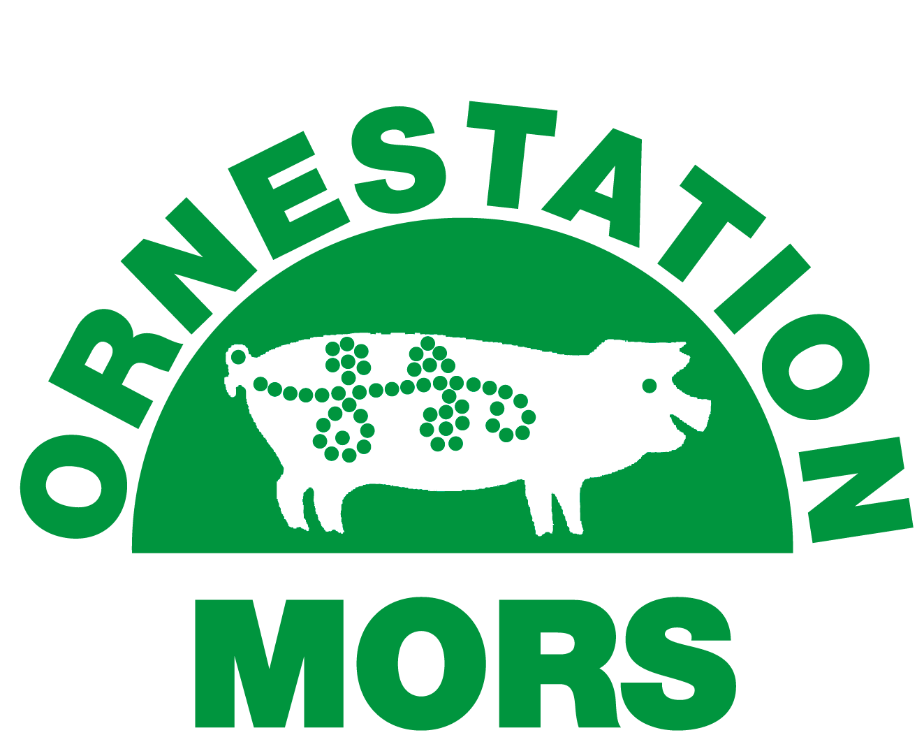ornestationmors.dk icon