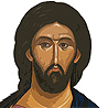 orthodoxws.com icon