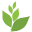 orthoheal.com icon